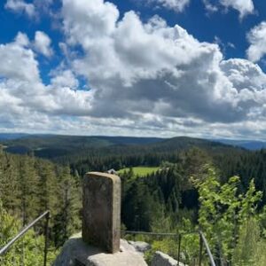 Blick über den Schwarzwald