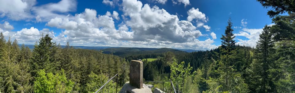 Blick über den Schwarzwald
