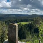 Blick über den Schwarzwald