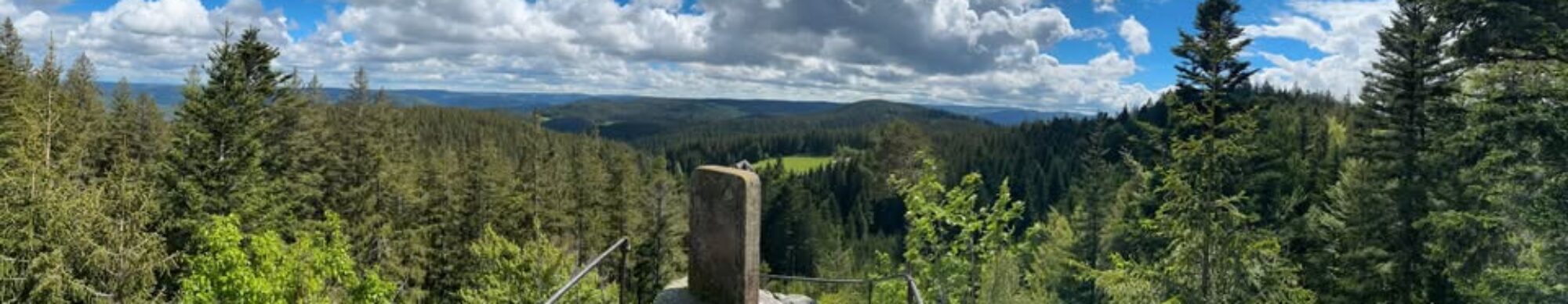 Hotel Schöne Aussicht - Im Herzen des Schwarzwaldes
